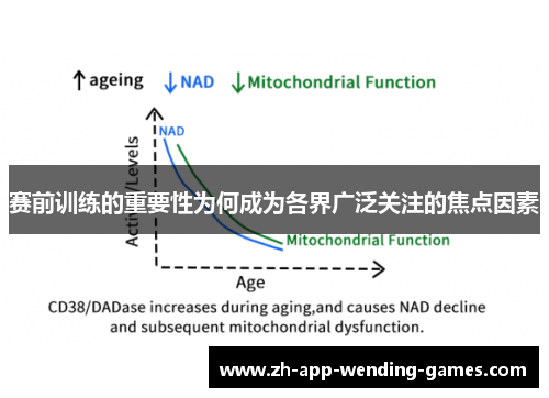 赛前训练的重要性为何成为各界广泛关注的焦点因素