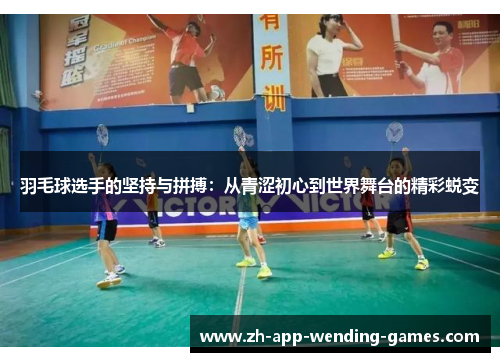 羽毛球选手的坚持与拼搏：从青涩初心到世界舞台的精彩蜕变