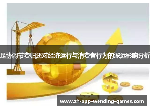 足协调节费归还对经济运行与消费者行为的深远影响分析