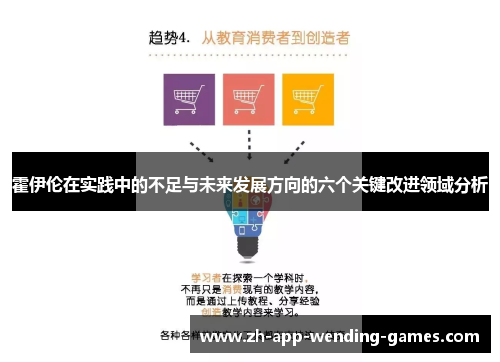 霍伊伦在实践中的不足与未来发展方向的六个关键改进领域分析