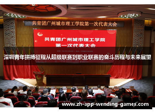 深圳青年拼搏征程从超级联赛到职业联赛的奋斗历程与未来展望