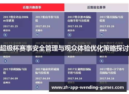 超级杯赛事安全管理与观众体验优化策略探讨