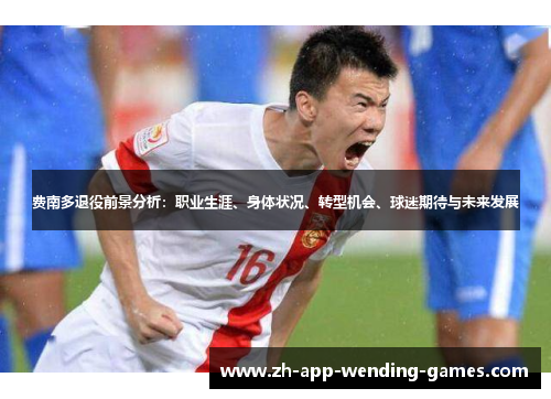 费南多退役前景分析：职业生涯、身体状况、转型机会、球迷期待与未来发展