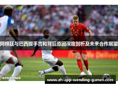 阿根廷与巴西握手言和背后原因深度剖析及未来合作展望