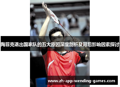 陶菲克退出国家队的五大原因深度剖析及背后影响因素探讨