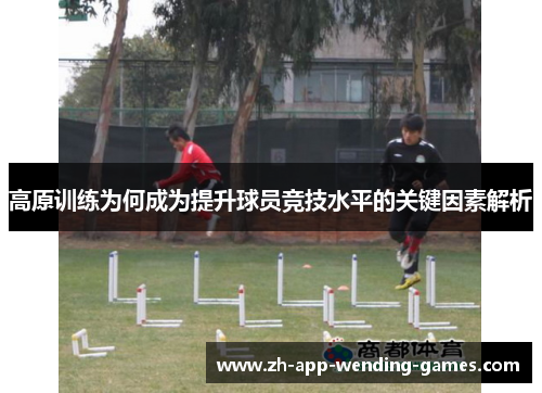 高原训练为何成为提升球员竞技水平的关键因素解析